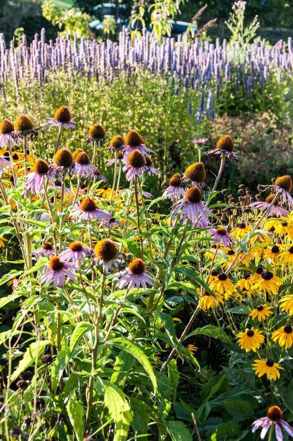 Puurteuven B&B Tussen Kunst En Natuur Voeren Kültér fotó